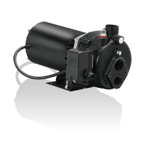 Blue Angel CBS100 - 1 HP Cast-Iron Convertible Well Jet Pump