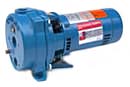 Goulds J Plus-Convertible Jet & Shallow Well Pumps