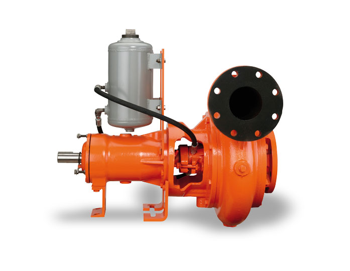 Berkeley Close-Coupled Motor Drive Series Pumps