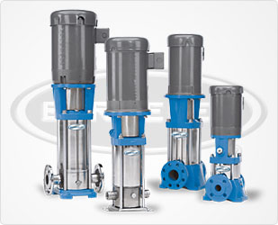 Berkeley BVM(I/X)4 Vertical Multi-Stage Pumps