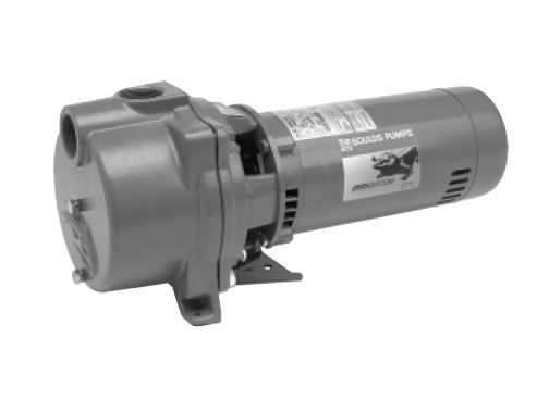 Goulds Self-Priming Centrifugal Pump - 60 Hz GT15