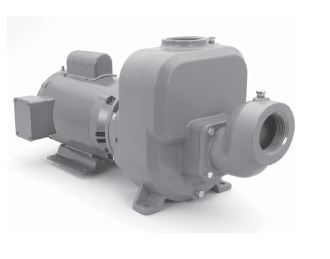 Goulds Self-Priming Centrifugal Pumps 30SPM20 